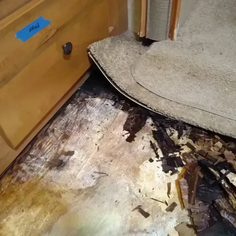 Wood Floor Water Damage in Voorhees, NJ